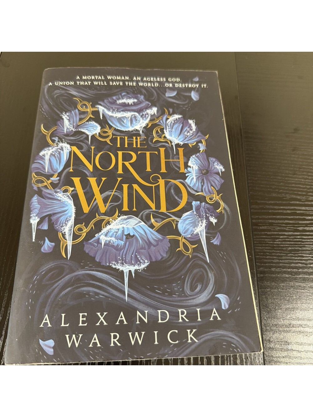 The North Wind By Alexandria Warwick BS2